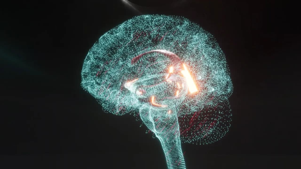 BrainRave EEG Visualiser showing real-time brainwave-driven VFX and neural data visualization
